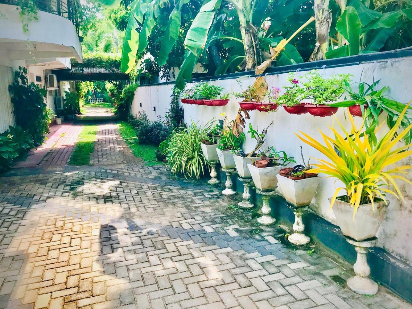 Pinidiya Resort Anuradhapura Εξωτερικό φωτογραφία