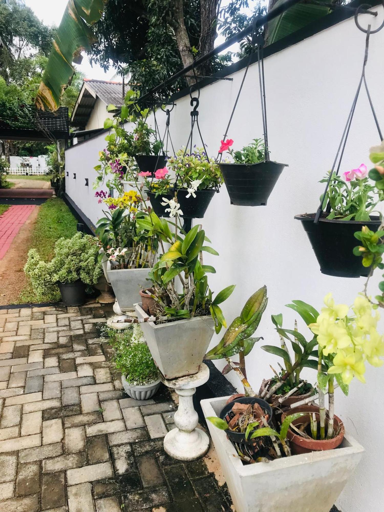 Pinidiya Resort Anuradhapura Εξωτερικό φωτογραφία